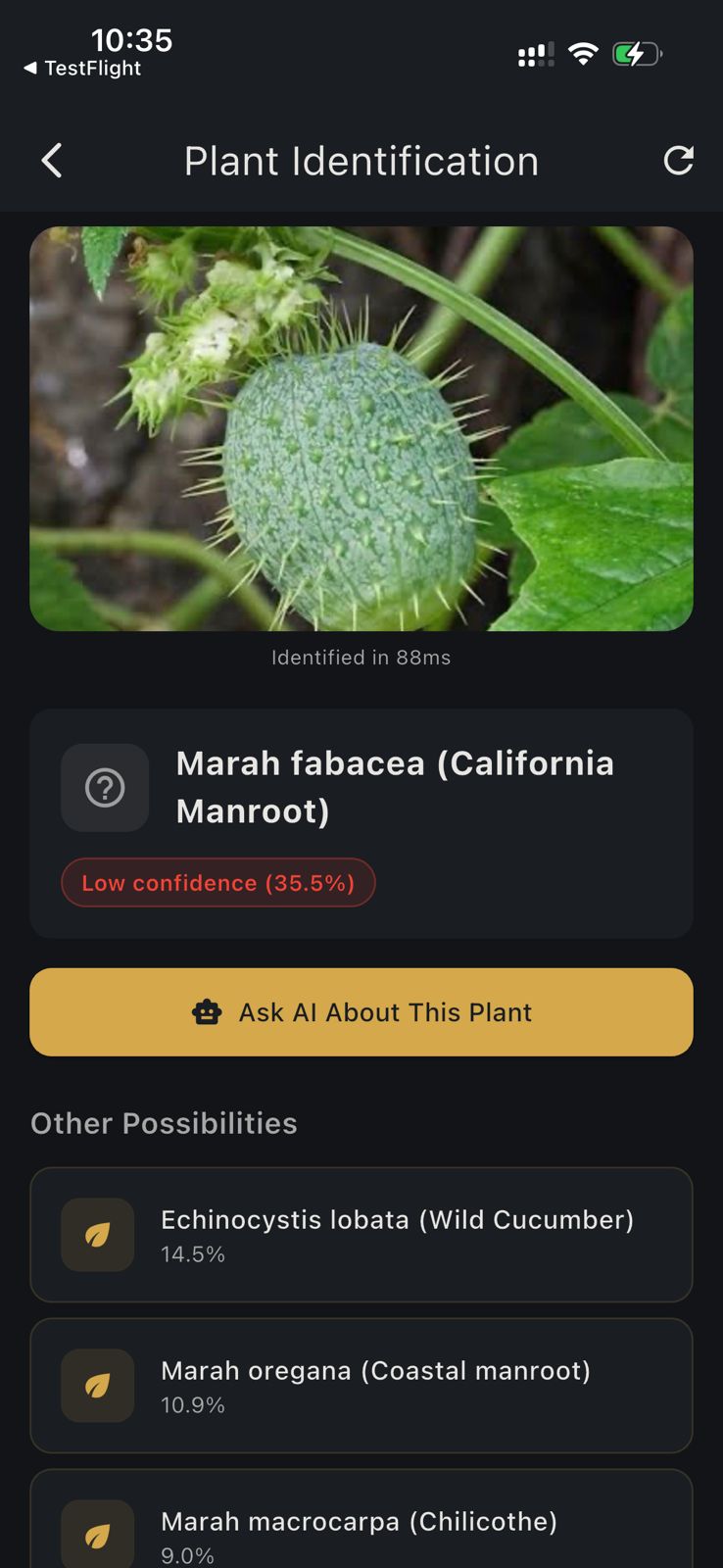 HAVEN Plant ID — instant identification with AI